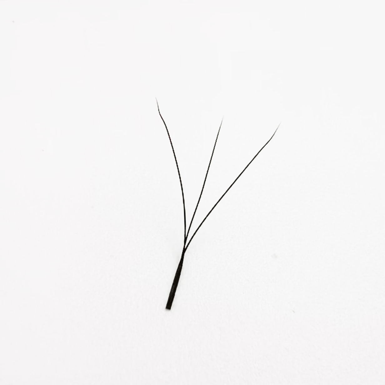 3d W Eyelashes Lash Extension  - Red Clover Flower recensie en prijs